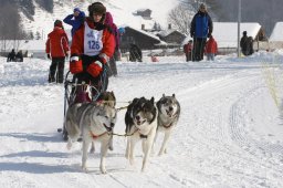 Lenk 2012 SM
